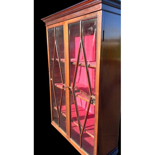 463 - A BEAUTIFUL ANTIQUE ASTRAGAL GLAZED COLLECTORS CABINET WITH ADJUSTABLE SHELVES ON STAND 25 x 18