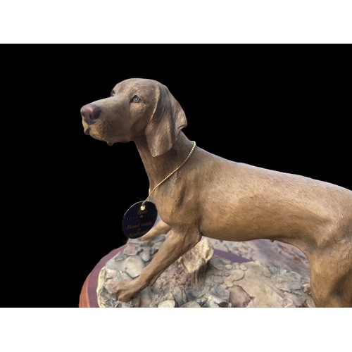 476 - BORDER FINE ARTS WEIMARANER FIGURINE 7