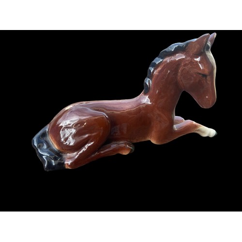 479 - A SYLVAC FOAL