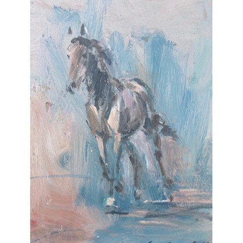 825 - HORSE EXERCISING A CON CAMPBELL OIL ON BOARD 17.5X15.5