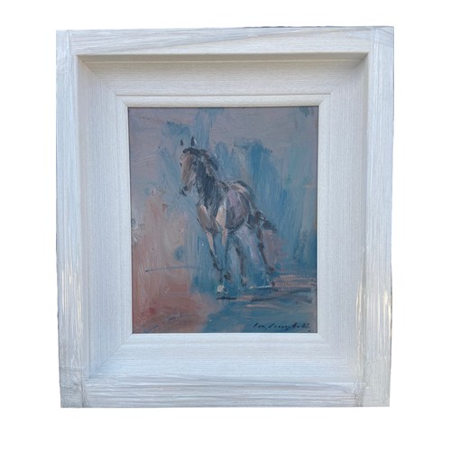 825 - HORSE EXERCISING A CON CAMPBELL OIL ON BOARD 17.5X15.5