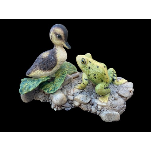 844 - A BORDER FINE ARTS GINED AYRES DUCKING & FROG BOXED