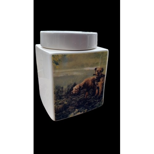 76 - 2 BORDER TERRIER MUDDY WATERS CANISTERS BY BORDER FINE ARTS