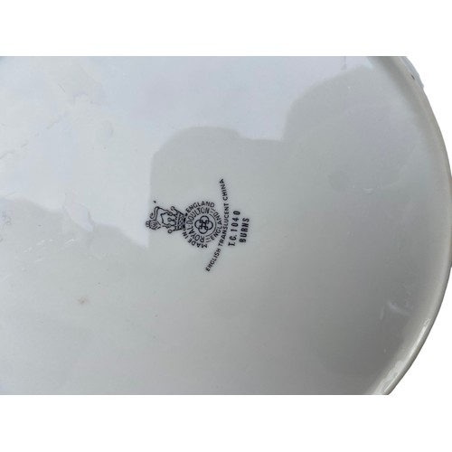 29 - A ROBERT BURNS ROYAL DOULTON PLATE