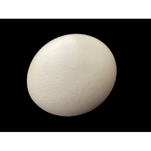 42 - AN OSTRICH EGG