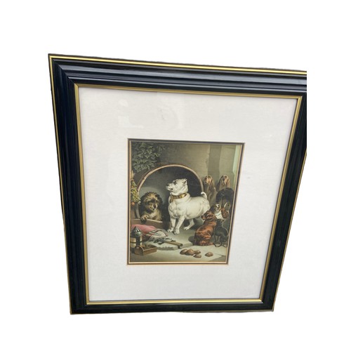 315 - 2 VINTAGE DOG ETCHINGS IN EBONY FRAMES WITH A GILT TRIM 19X16.5