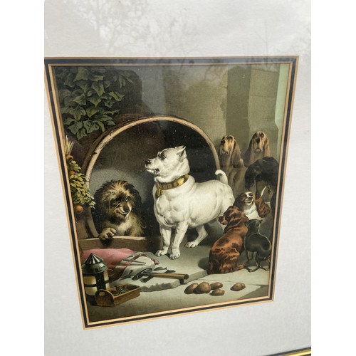 315 - 2 VINTAGE DOG ETCHINGS IN EBONY FRAMES WITH A GILT TRIM 19X16.5