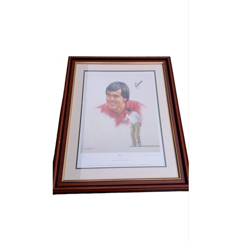 345 - FRAMED LIMITED EDTION SIGNED PRINT OF SEVE