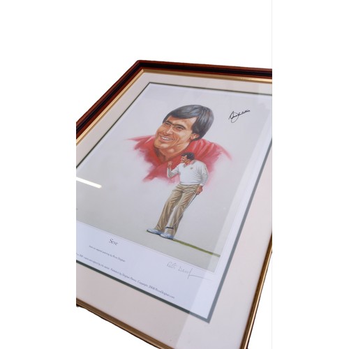 345 - FRAMED LIMITED EDTION SIGNED PRINT OF SEVE