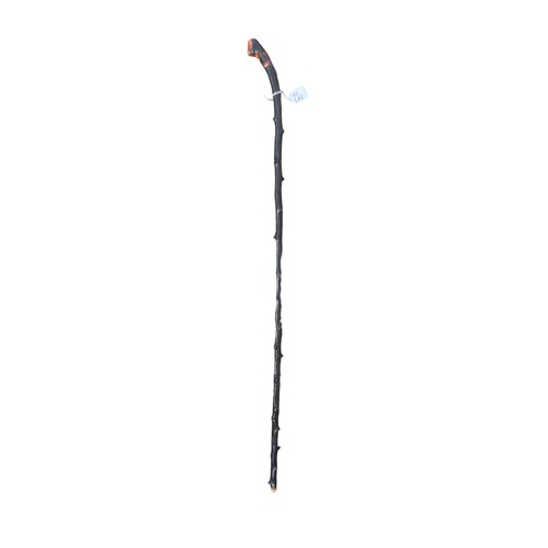 45 - A BLACKTHORN STICK