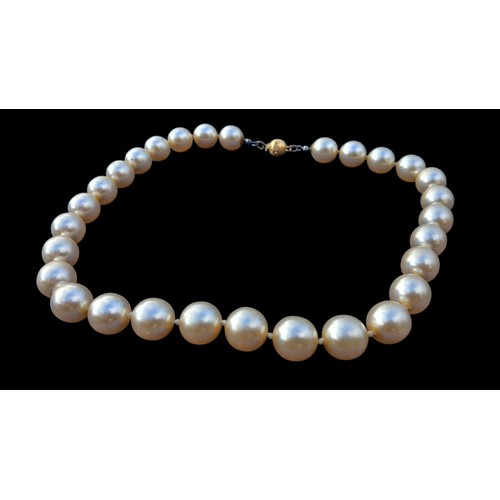 238 - LARGE PEARL NECKLACE