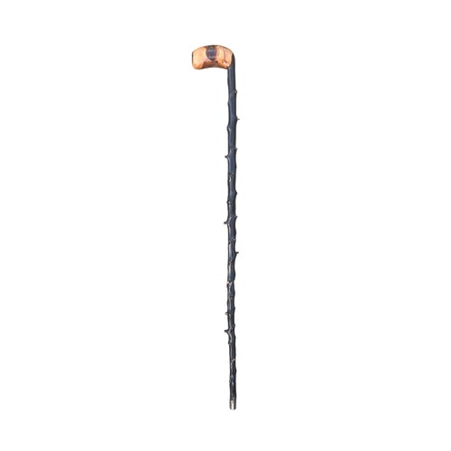 582 - A R.U.C BLACKTHORN STICK WITH CLUB HEAD