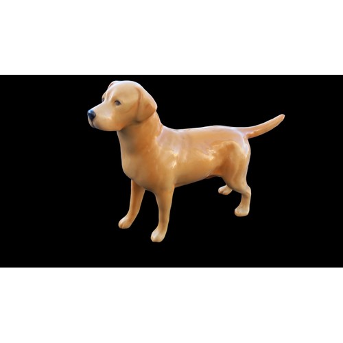 222 - BESWICK LABRADOR DOG 8x5