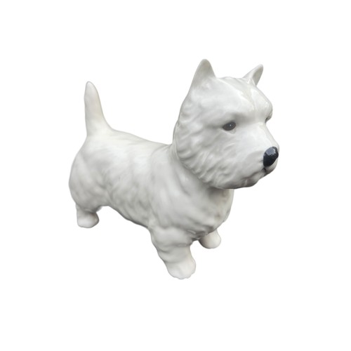 129 - BESWICK WESTIE 5