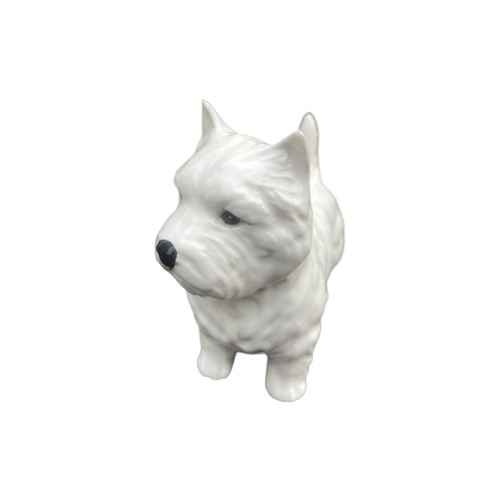 129 - BESWICK WESTIE 5