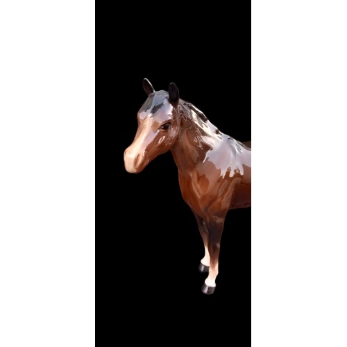 240 - A BESWICK BROWN HORSE 9x7