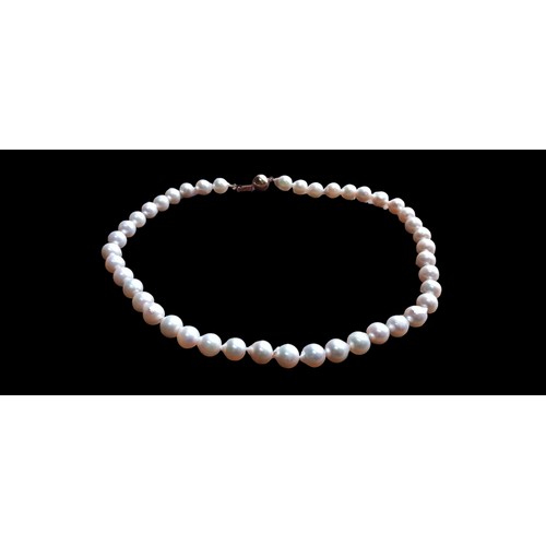 529 - A STRAND OF NATURAL PEARLS WITH KNOTS BETWEEN 18