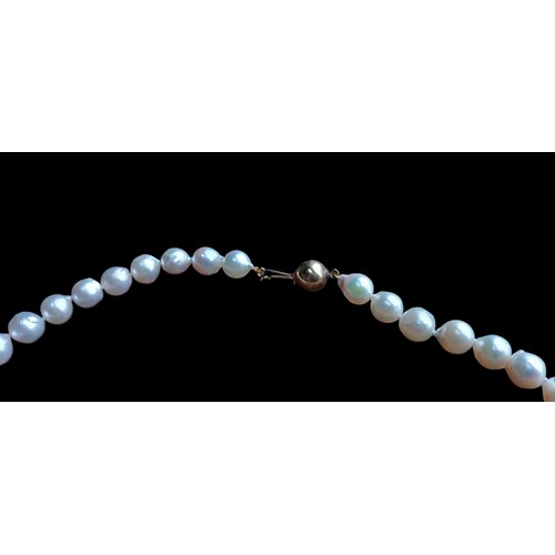 529 - A STRAND OF NATURAL PEARLS WITH KNOTS BETWEEN 18