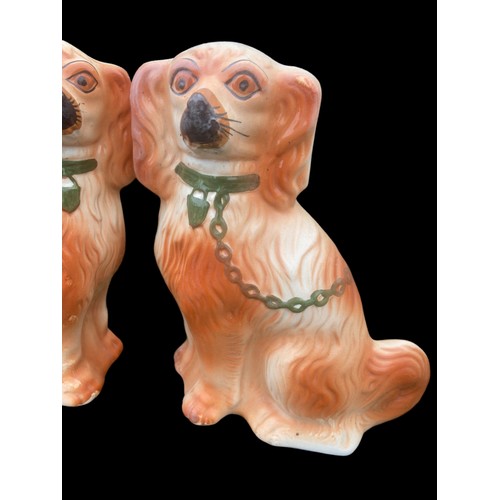 56 - A PAIR OF STAFFORDSHIRE DOGS 10