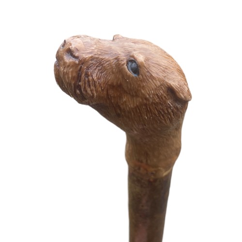 127 - A LARGE WALKING STICK WITH AN OTTER HEAD HANDLE