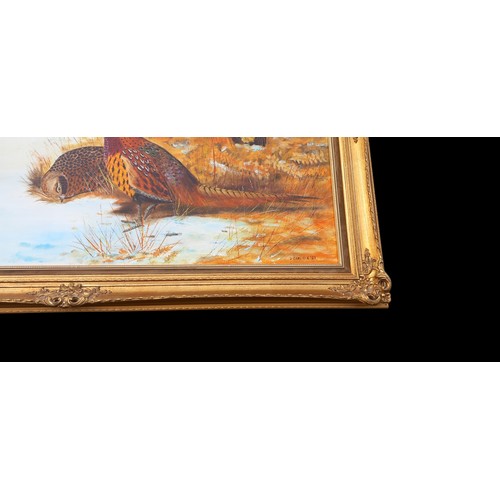 325 - A GILT FRAMED PHEASANT OIL ON CANVAS SIGNED