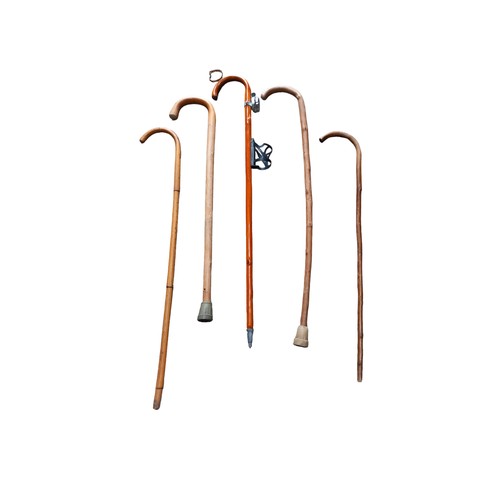 350 - A QUANTITY OF WALKING STICKS