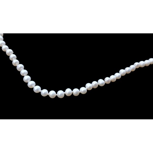 522 - PEARL NECKLACE 19