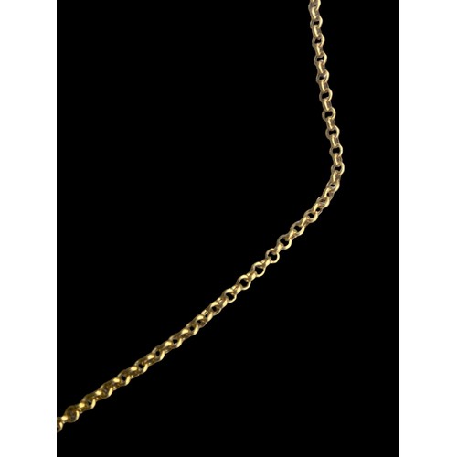 574 - A 9CT GOLD QUALITY LOOP LINK CHAIN WITH A 9CT GOLD MOUNTED CAMEO PENDANT