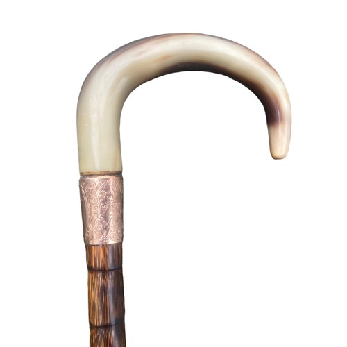 609 - A 9ct GOLD RIM WALKING STICK