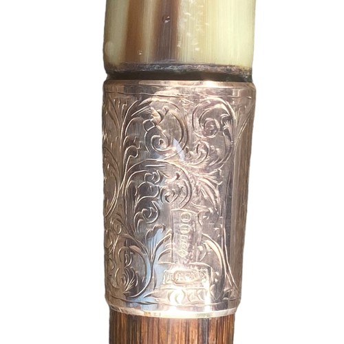 609 - A 9ct GOLD RIM WALKING STICK