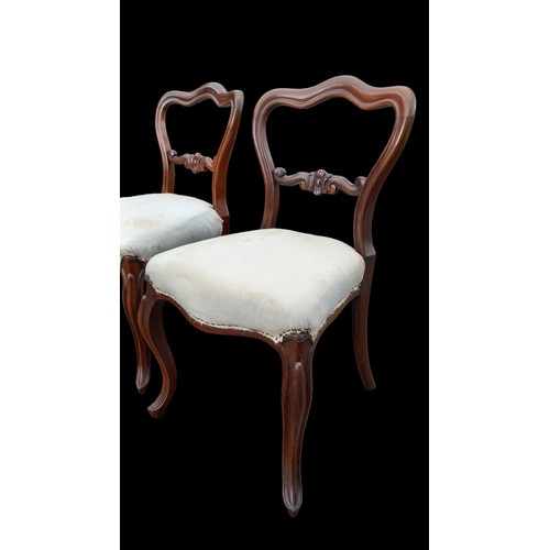 407 - A PAIR OF VICTORIAN BALLOON BACK CHAIRS IN PRISTINE CONDITION  ( HAVE BEEN RE-WEBBED)