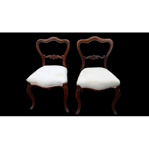 407 - A PAIR OF VICTORIAN BALLOON BACK CHAIRS IN PRISTINE CONDITION  ( HAVE BEEN RE-WEBBED)