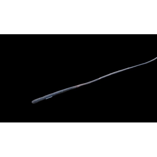 168 - A VINTAGE LUNGE WHIP MADE FROM TREE BRANCH