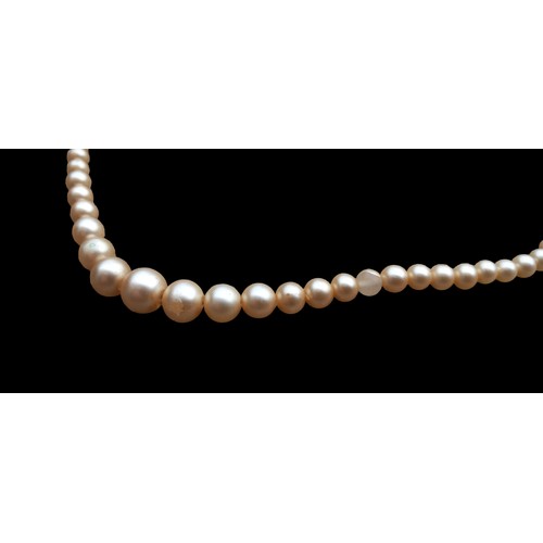 205 - GRADUATED PEARL NECKLACE