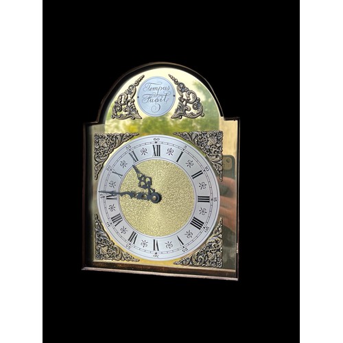 371 - A TEMPEST GRANDAUGHTER CLOCK