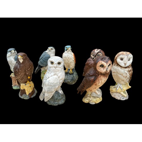 508 - A  COMPLETE SET (8) OF OWL AND FALCON DECANTERS FOR WHYTE AND MACKAY BY ROYAL DOULTON