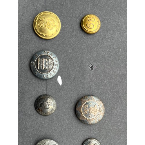 567 - IRISH COATEE BUTTONS (1820-1855)