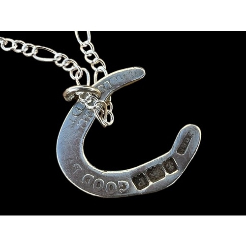 246 - A SILVER HORSESHOE PENDANT ON A SILVER CHAIN