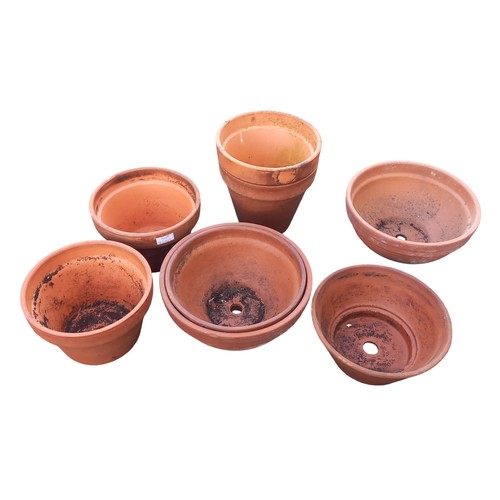 31 - QTY OF TERRACOTTA POTS