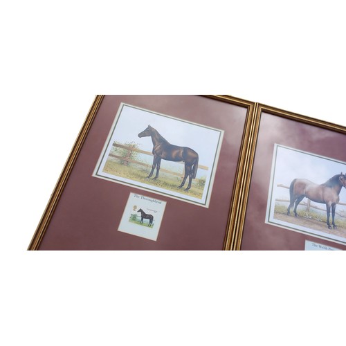 56 - 2 FRAMED STAMPS WITH ACCOMPANING PRINTS 