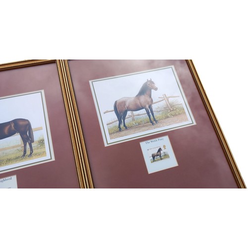 56 - 2 FRAMED STAMPS WITH ACCOMPANING PRINTS 