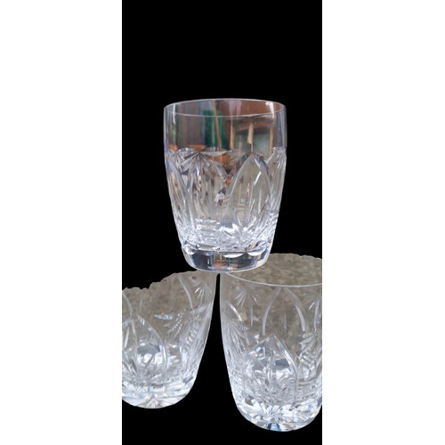 313 - A SET OF 6 CRYSTAL WHISKEY GLASS