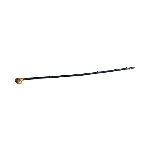 105 - BLACKTHORN WALKING STICK