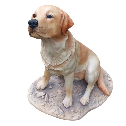 36 - A BORDER FINE ARTS LABRADOR