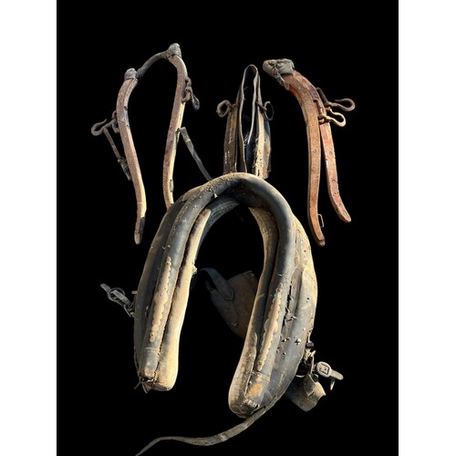 78 - A HORSE HARNESS