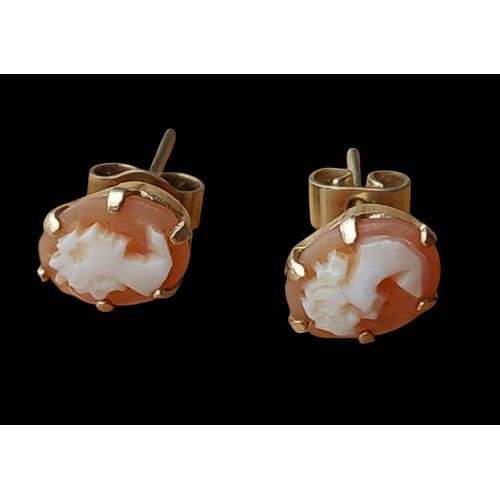 225 - 9ct GOLD CAMEO STUD EARRINGS