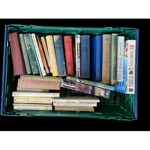 315 - A BOX OF APPROX 32 MIXED IRISH LIT. AND HISTORY BOOKS