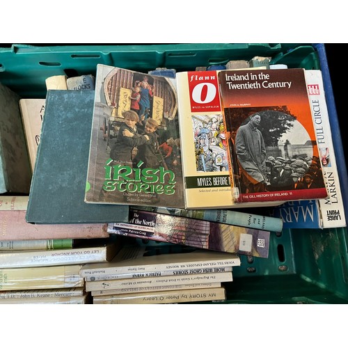 315 - A BOX OF APPROX 32 MIXED IRISH LIT. AND HISTORY BOOKS