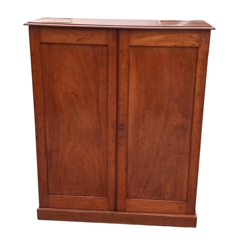 318 - A GEORGIAN 2 DOOR CABINET