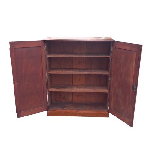 318 - A GEORGIAN 2 DOOR CABINET